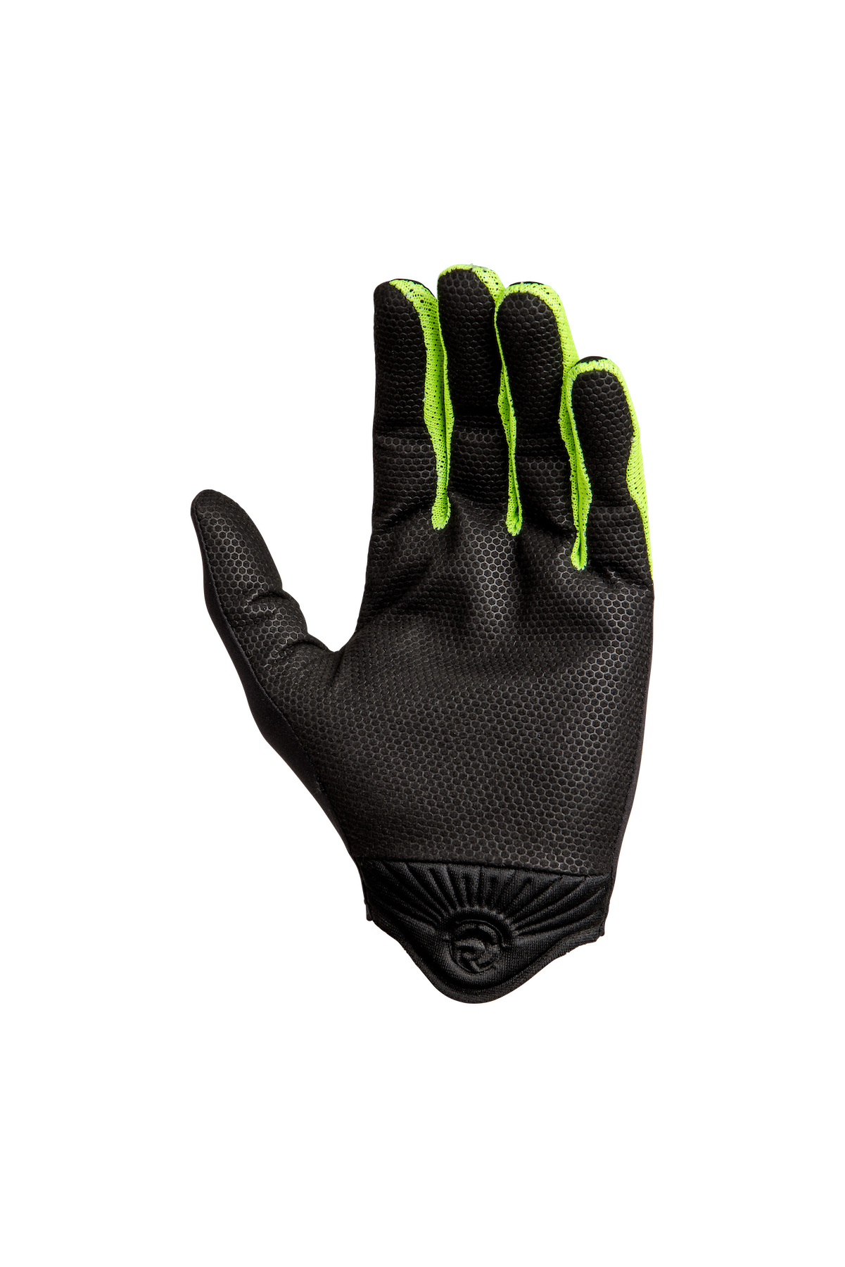 Range Palm