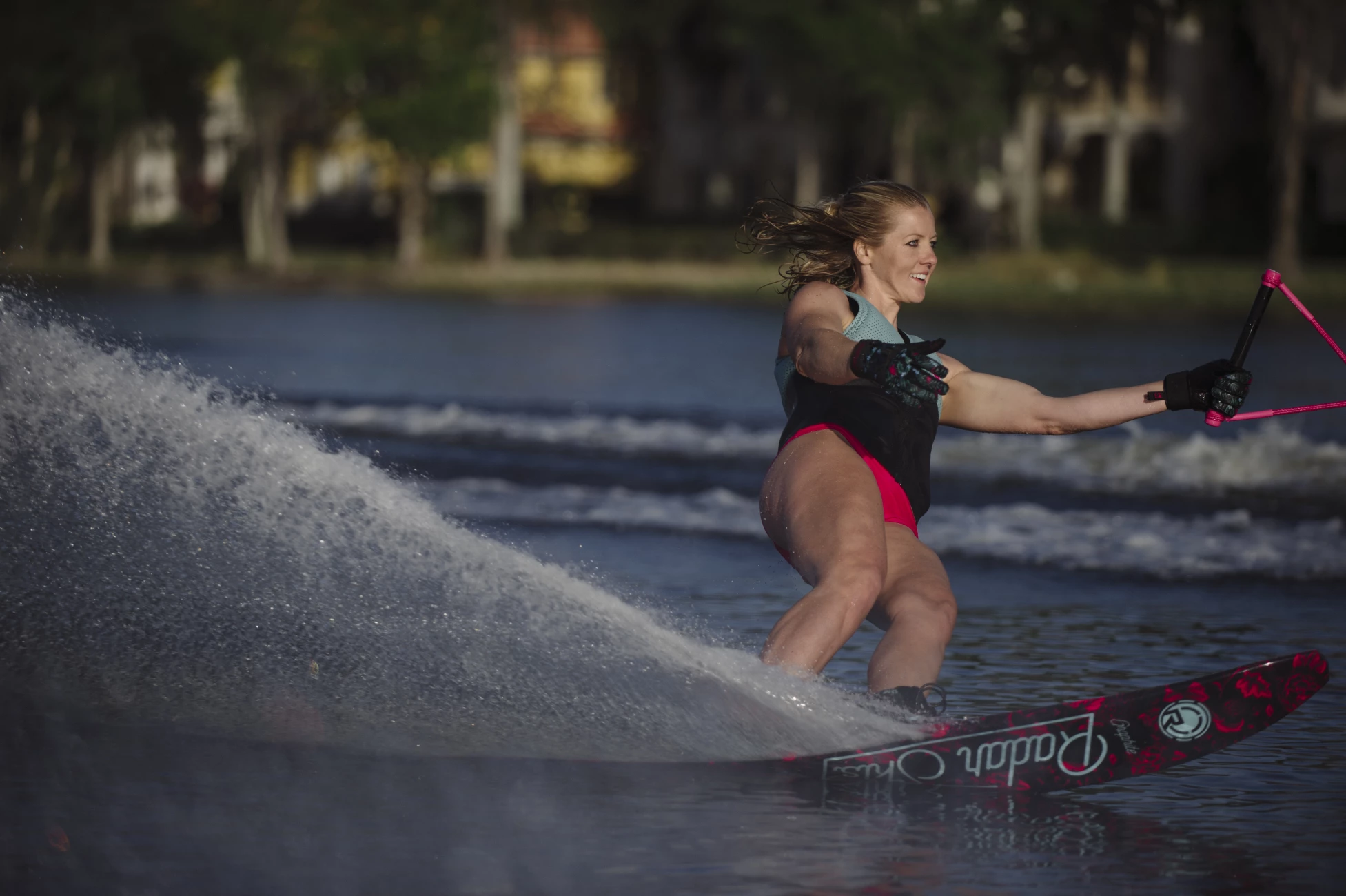 Whitney Graphite Lyric 10