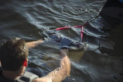 Control Arc - Gallery 2