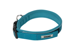 Dog Collar 2