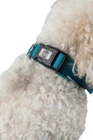 Dog Collar Avett