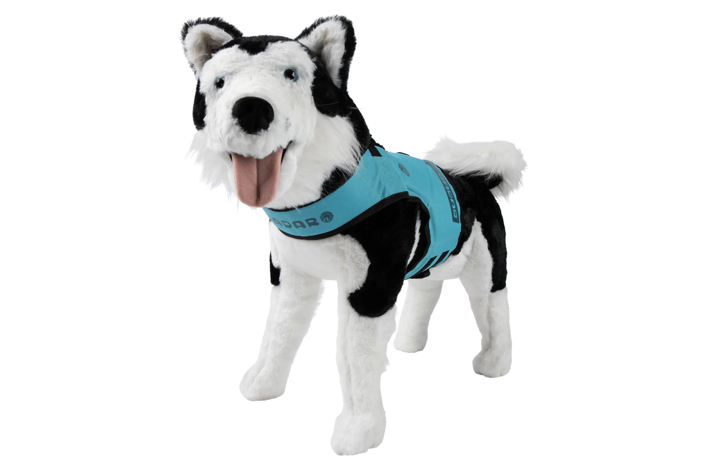 Dog Vest 6
