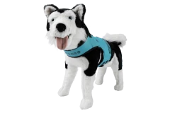 Dog Vest 6