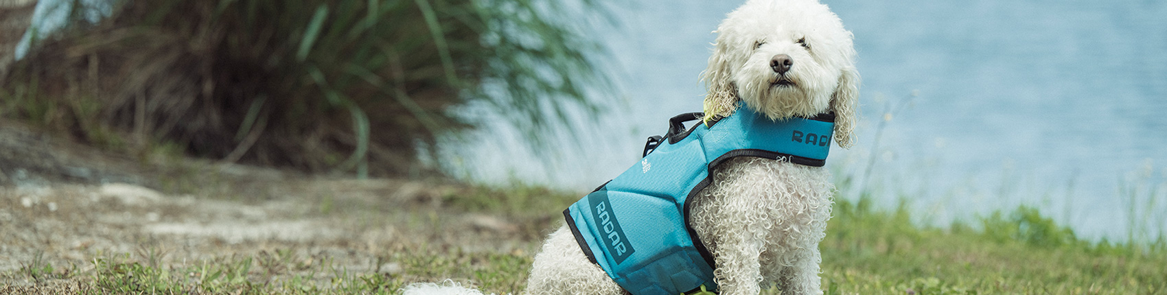 Dog Vest | Radar Skis, Handcrafted Quality Waterskis