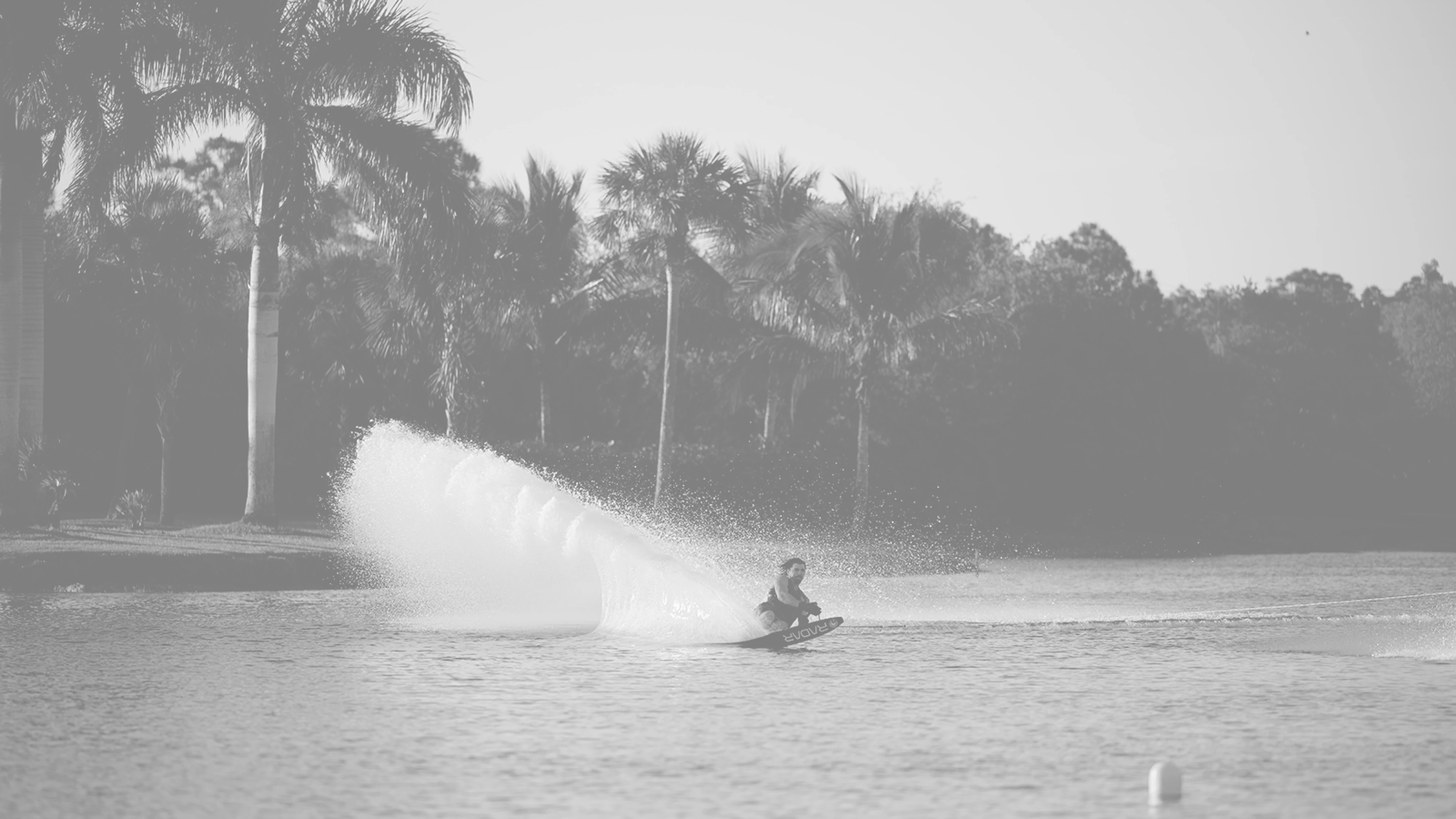 BG IMAGE VAPOR COLLECTION