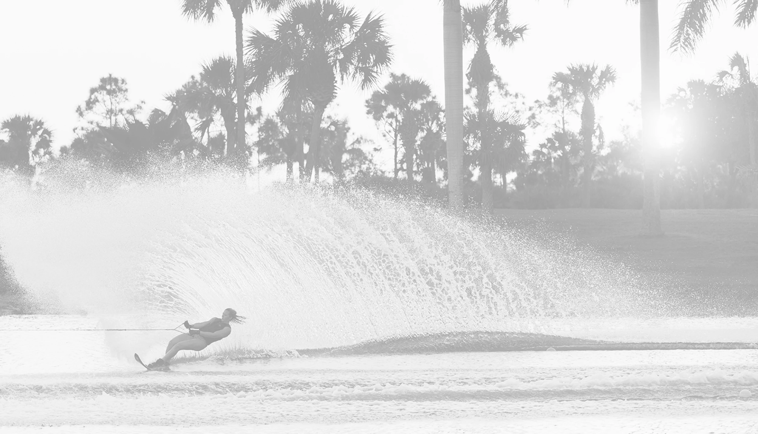 PHOTO SECTION BACKGROUND