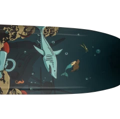 RADAR SKIS GRAVITON LTD - 2027 - INSET 3